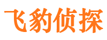 旬阳私家侦探公司